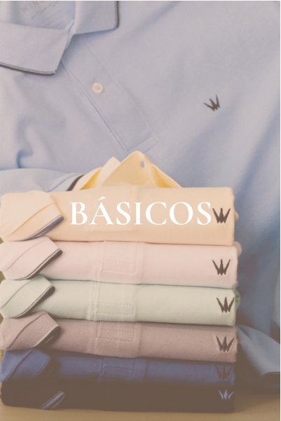 básicos_site